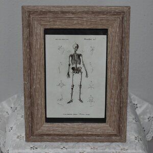 Halloween Petal Lane Skeleton Canvas Print In Vintage Wood Picture Frame Decor